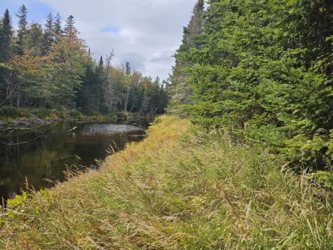 Lot 49 Meeting House Road Columbia ME 04623