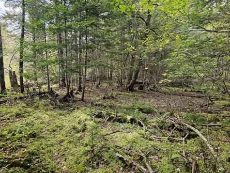 Lot 49 Meeting House Road Columbia ME 04623