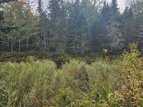 Lot 49 Meeting House Road Columbia ME 04623