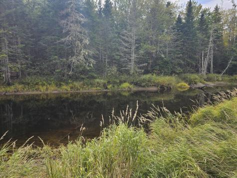 Lot 49 Meeting House Road Columbia ME 04623