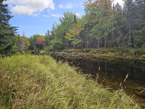 Lot 49 Meeting House Road Columbia ME 04623