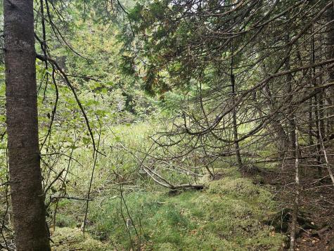 Lot 49 Meeting House Road Columbia ME 04623