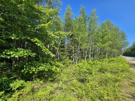 Lot 49 Meeting House Road Columbia ME 04623