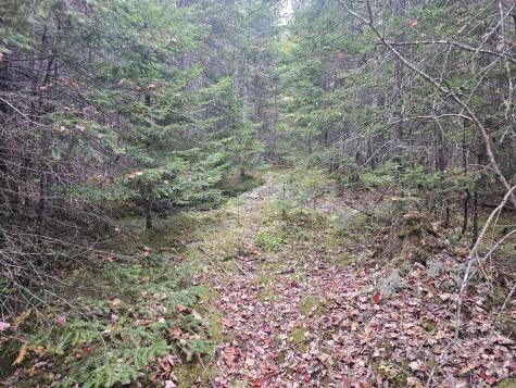 Lot 49 Meeting House Road Columbia ME 04623