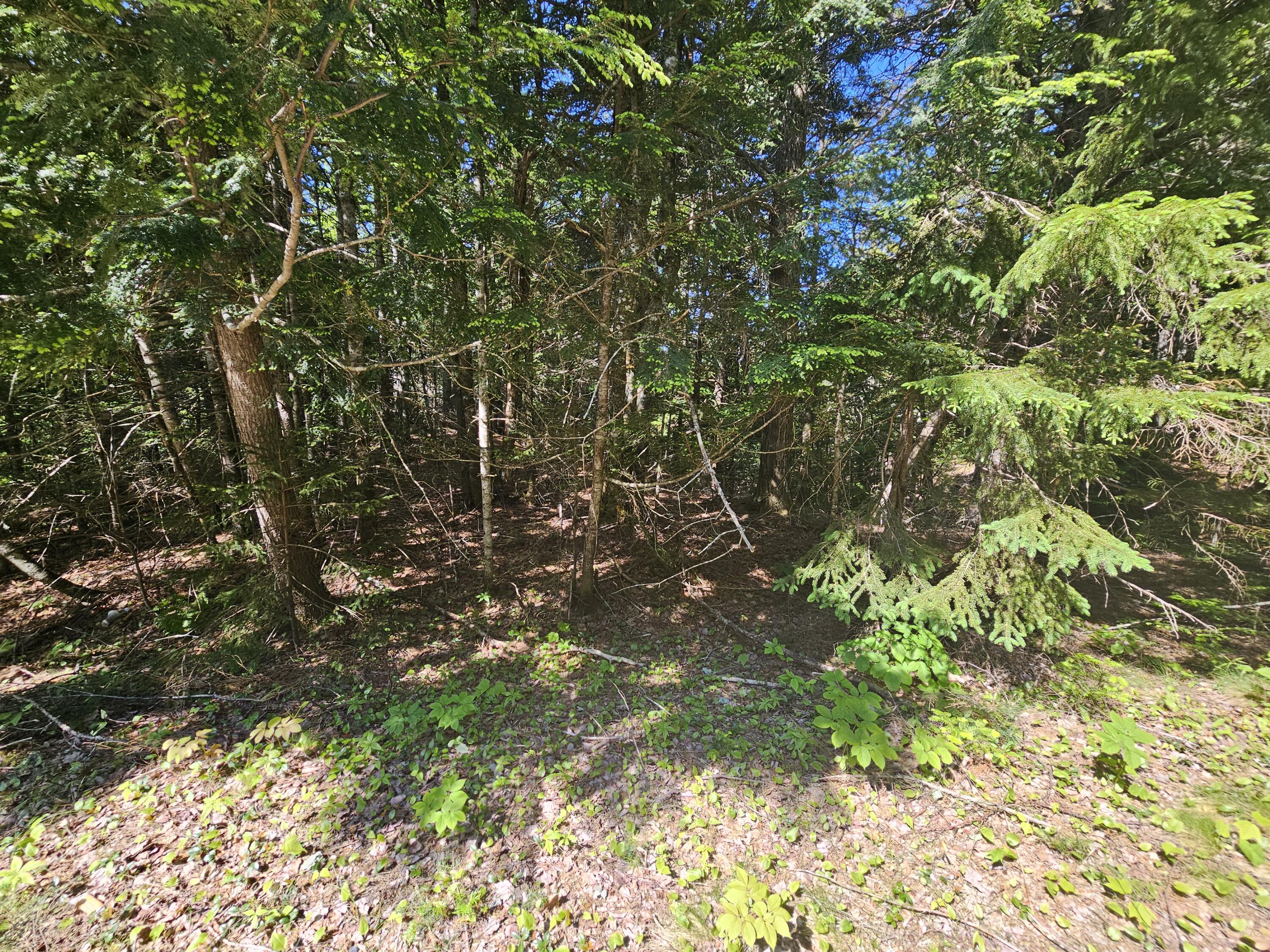 Lot 49 Meeting House Road Columbia ME 04623