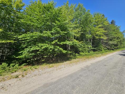 Lot 49 Meeting House Road Columbia ME 04623