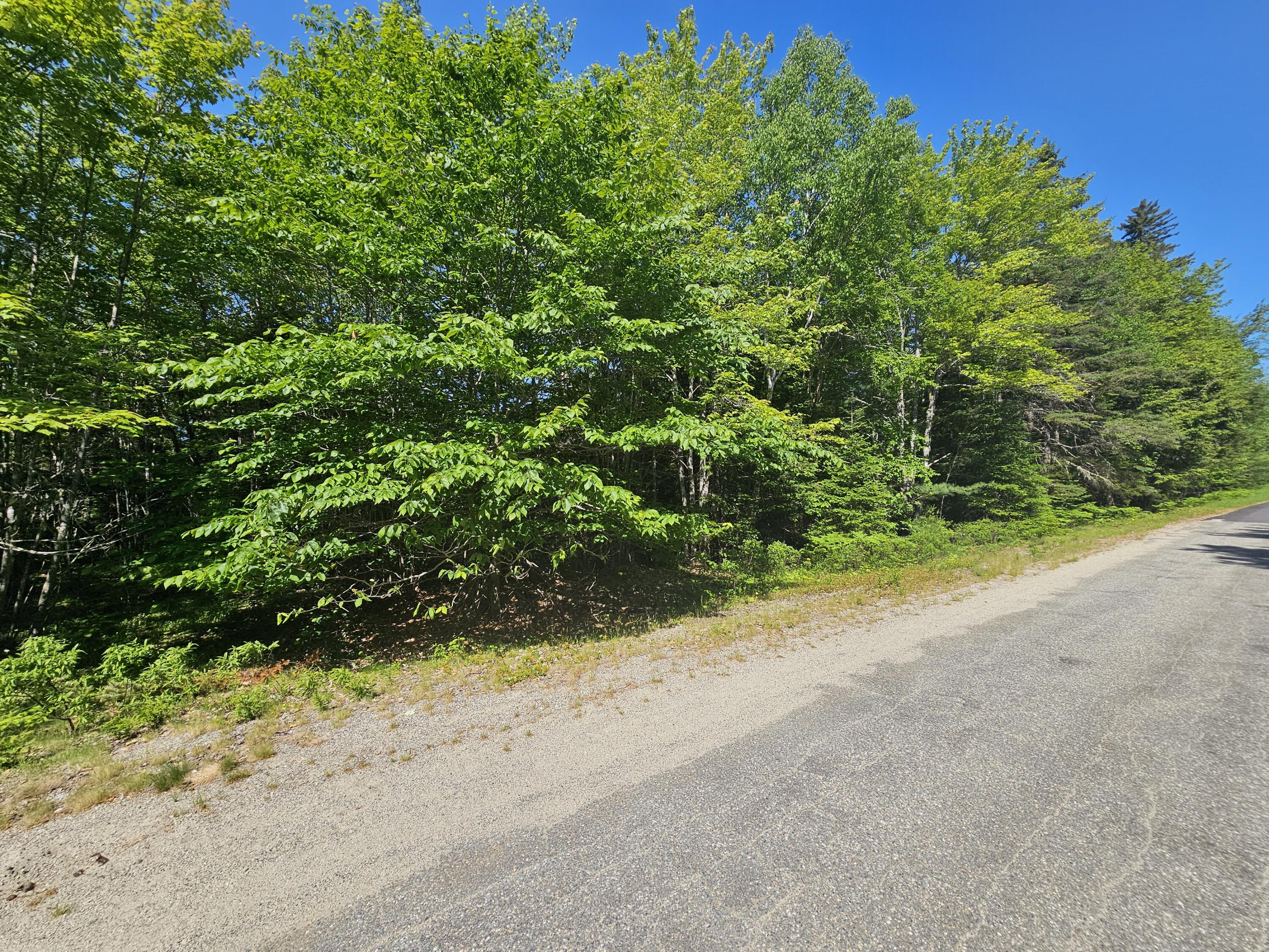 Lot 49 Meeting House Road Columbia ME 04623