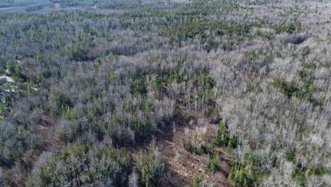 Map 33, Lots 9 And 11, Bar Harbor Road Trenton ME 04605