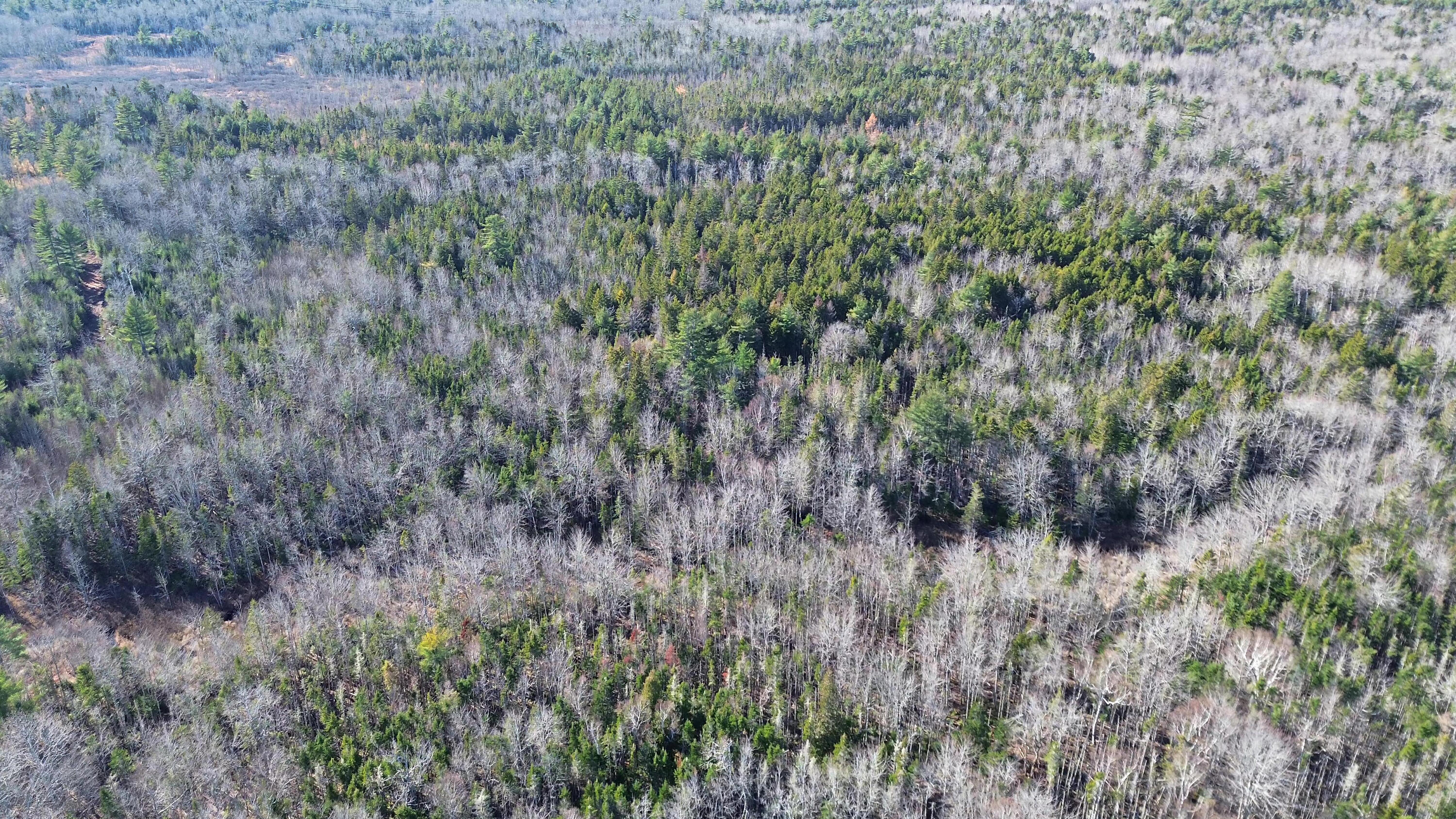 Map 33, Lots 9 And 11, Bar Harbor Road Trenton ME 04605