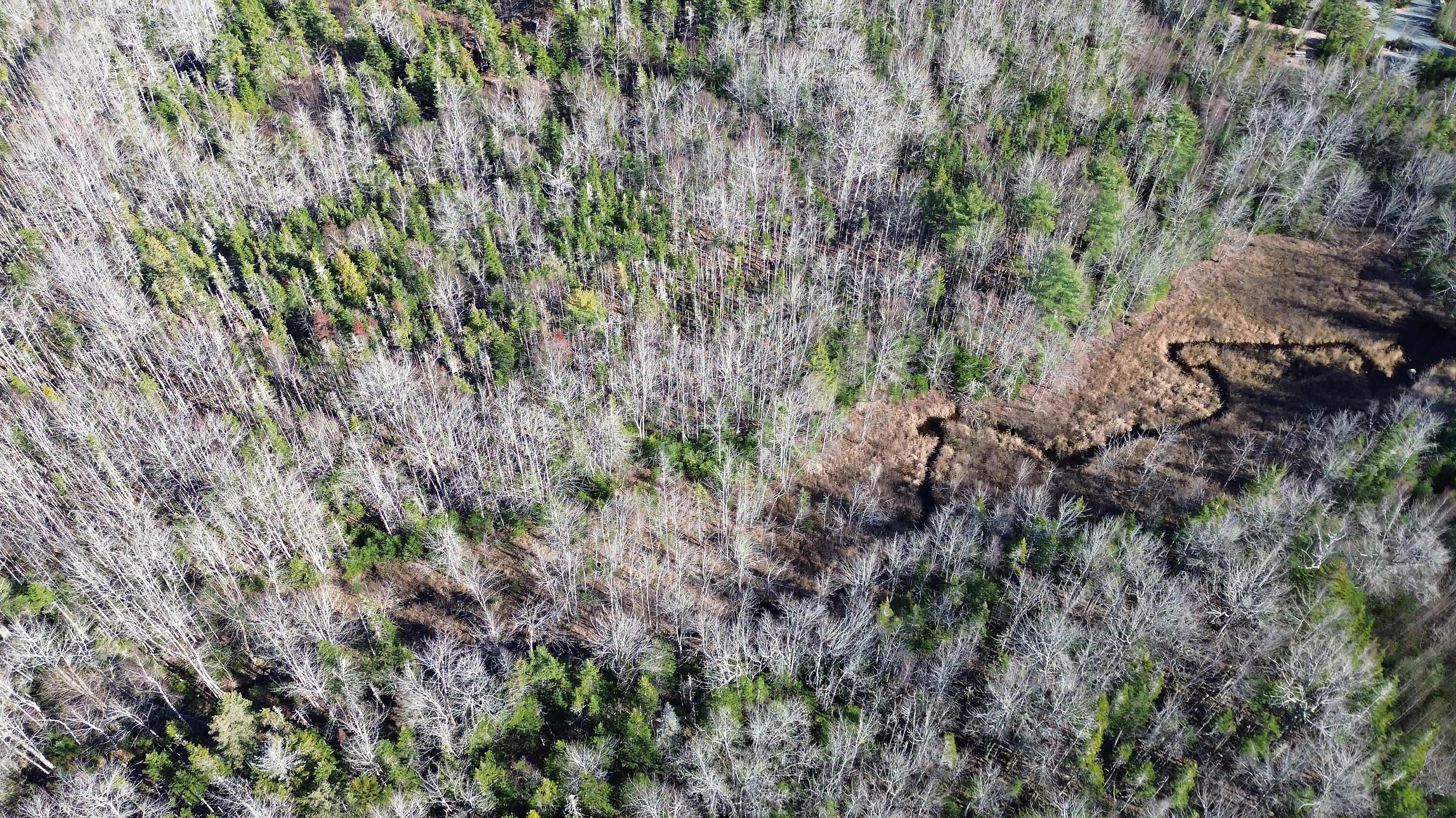 Map 33, Lots 9 And 11, Bar Harbor Road Trenton ME 04605