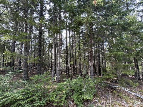 Lot 4 Julian Road Lubec ME 04631