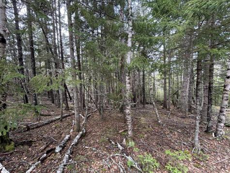 Lot 4 Julian Road Lubec ME 04631