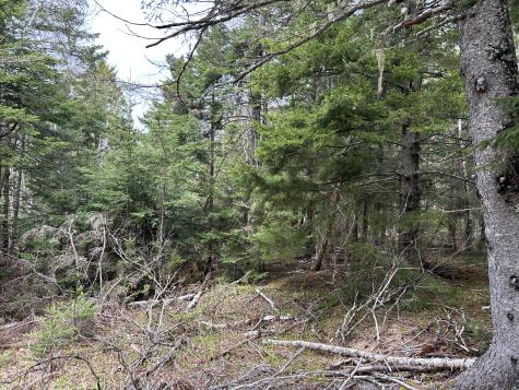 Lot 4 Julian Road Lubec ME 04631
