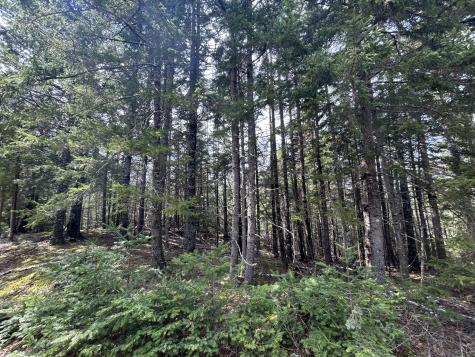 Lot 4 Julian Road Lubec ME 04631