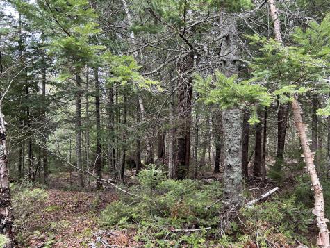 Lot 4 Julian Road Lubec ME 04631