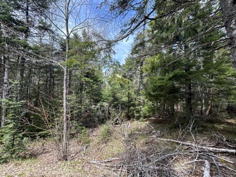 Lot 4 Julian Road Lubec ME 04631