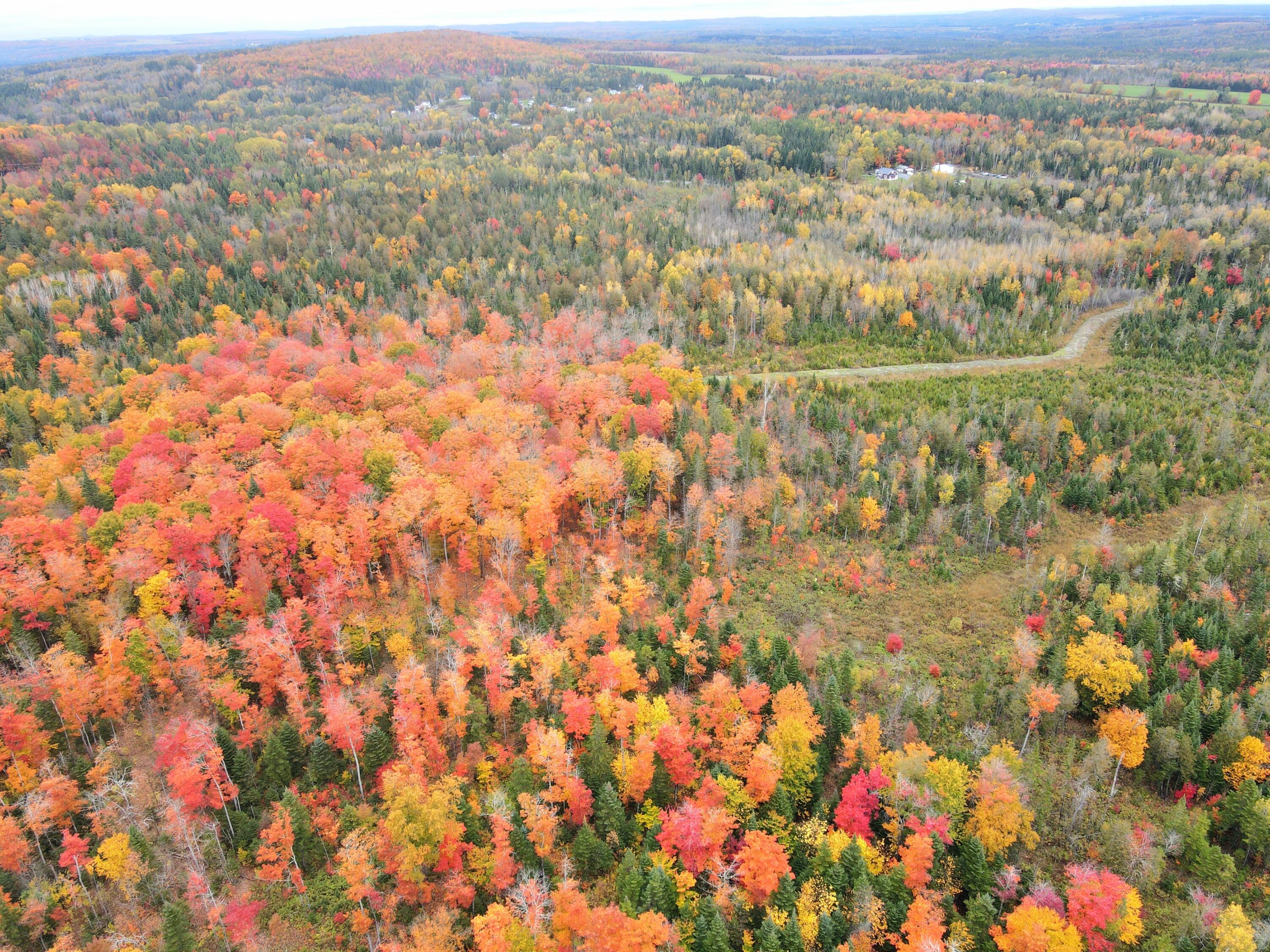 Lot 121 East Road New Sweden, ME