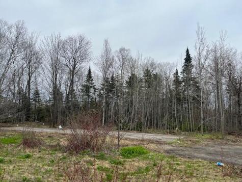 443 Caribou Road Presque Isle ME 04769