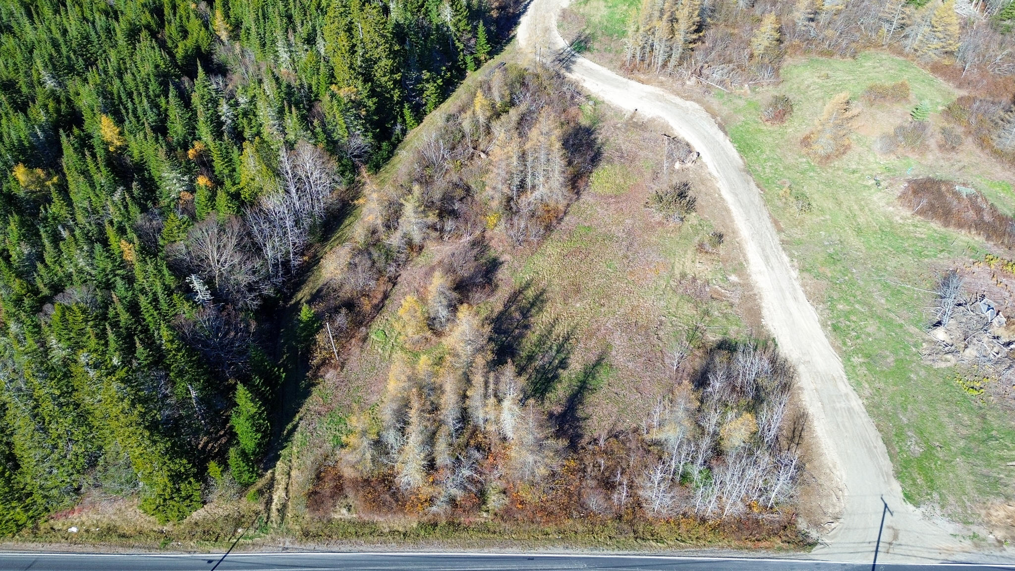 Lot 2 Holmes Bay Farm Whiting ME 04691