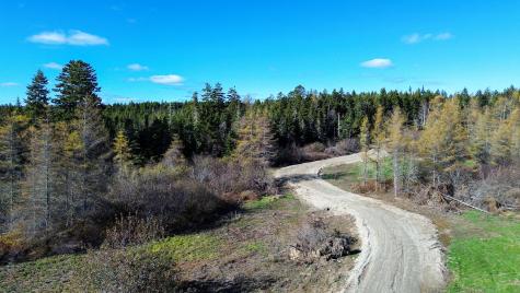 Lot 2 Holmes Bay Farm Whiting ME 04691