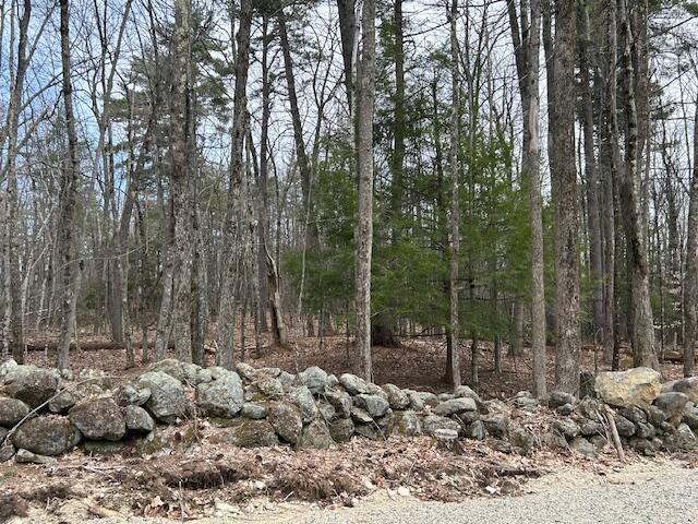 Tbd Lot 3 Hooper Hill Road Waterboro ME 04030