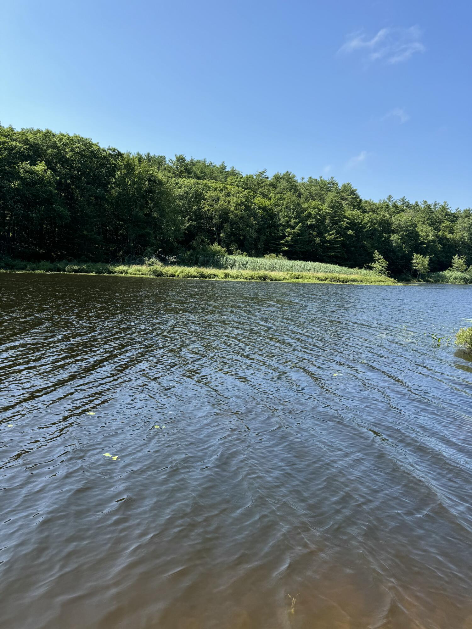 356 High Street Bath ME 04530