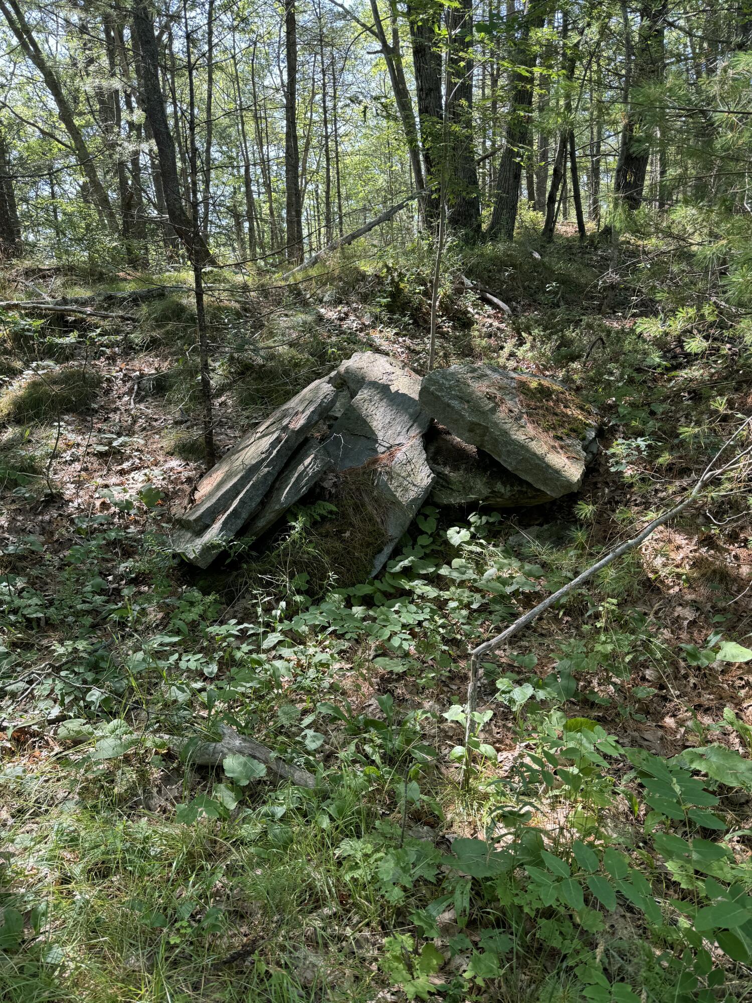 356 High Street Bath ME 04530