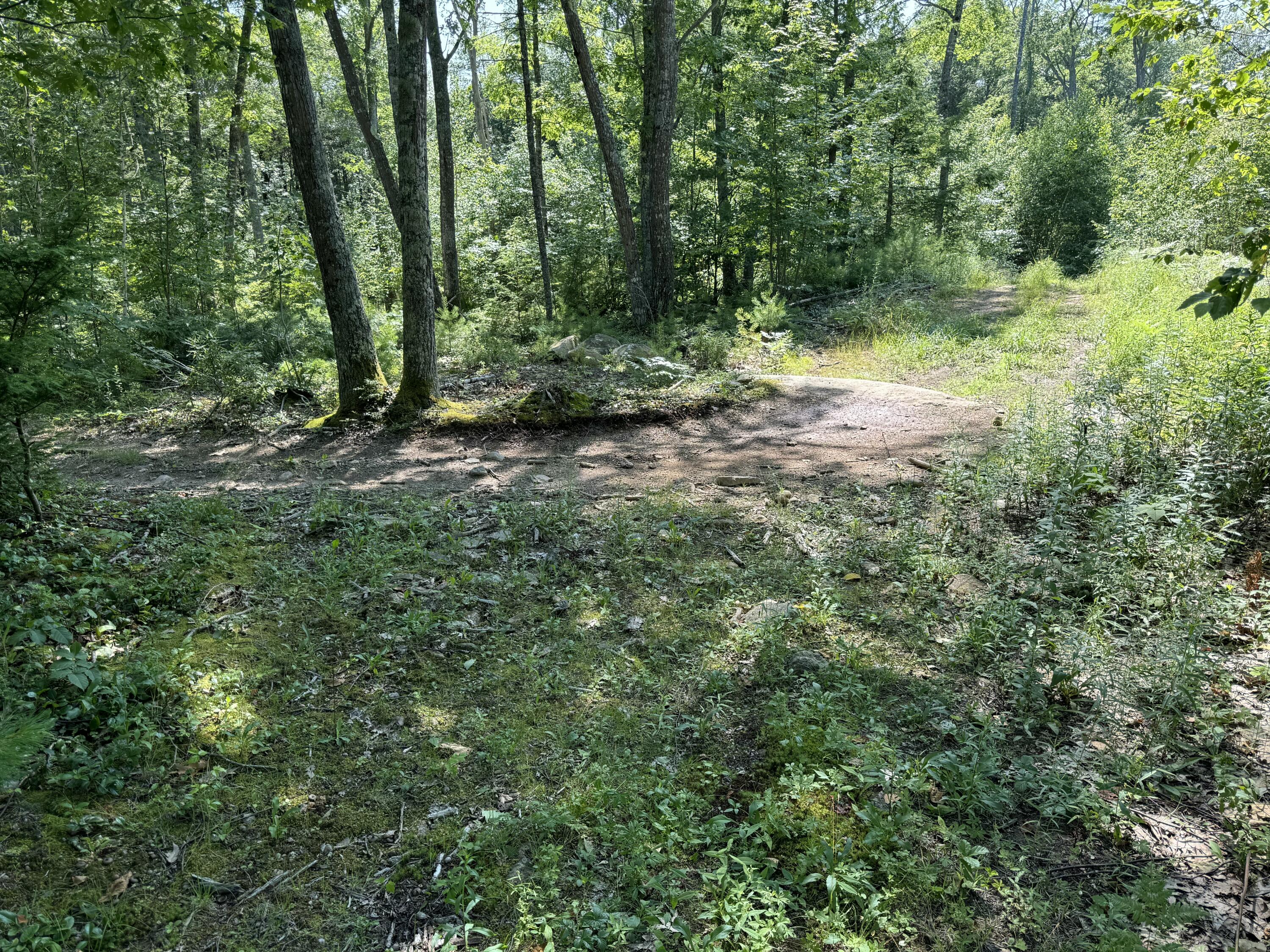 356 High Street Bath ME 04530