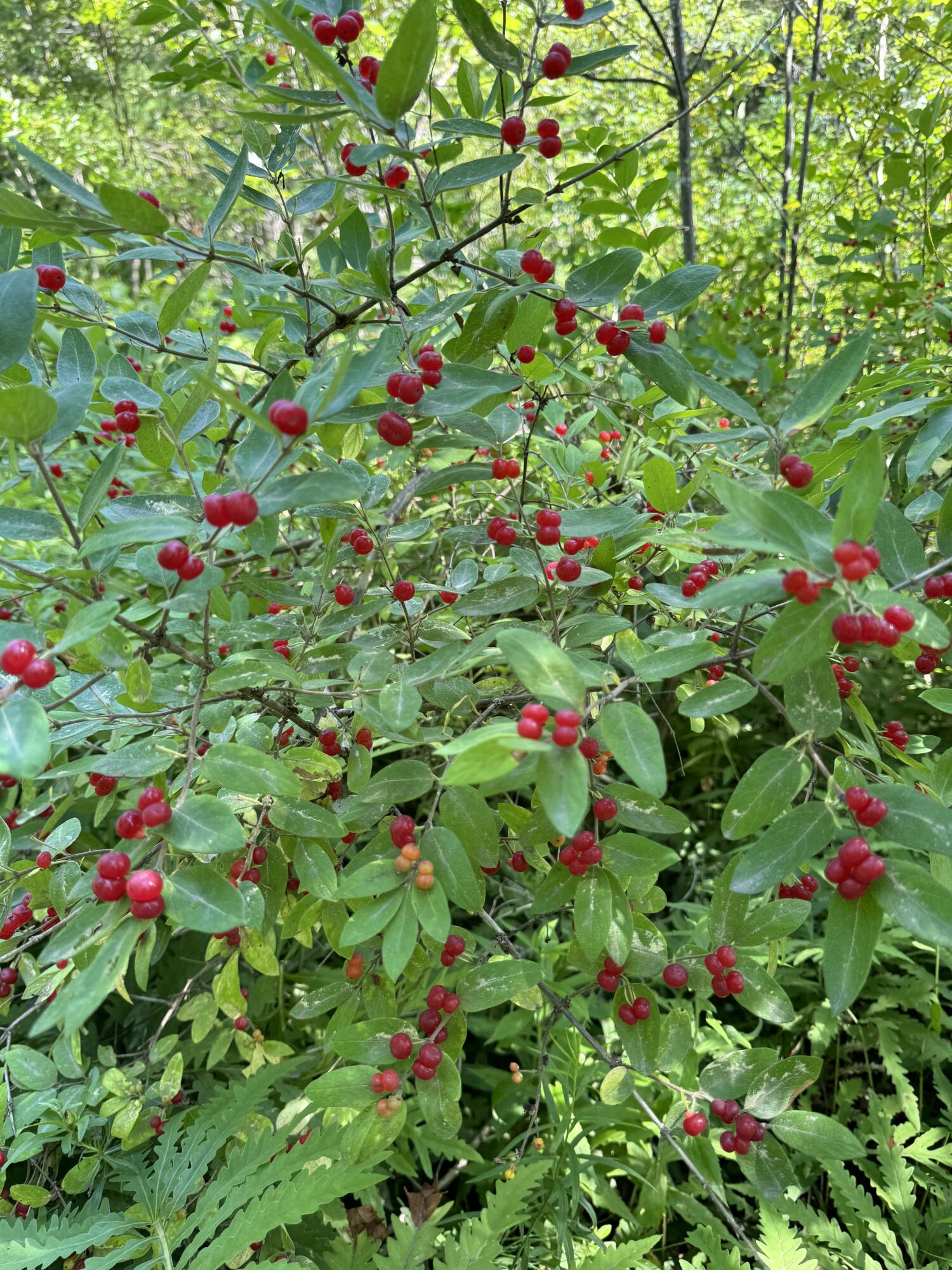 356 High Street Bath ME 04530