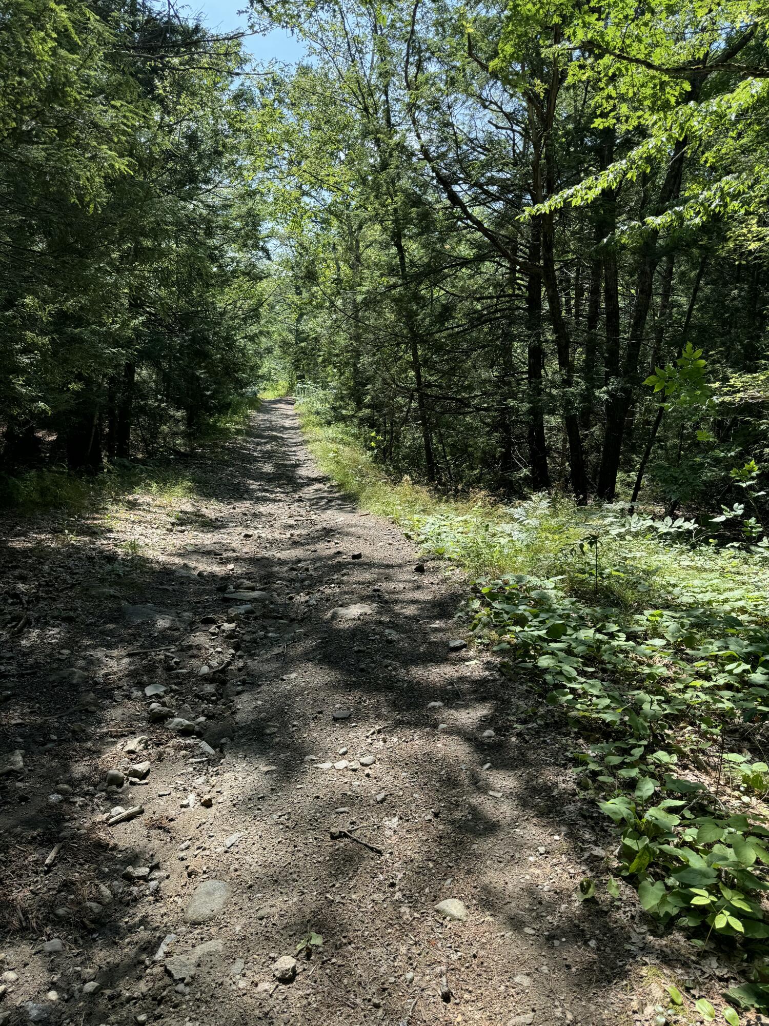 356 High Street Bath ME 04530