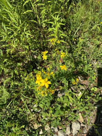 356 High Street Bath ME 04530