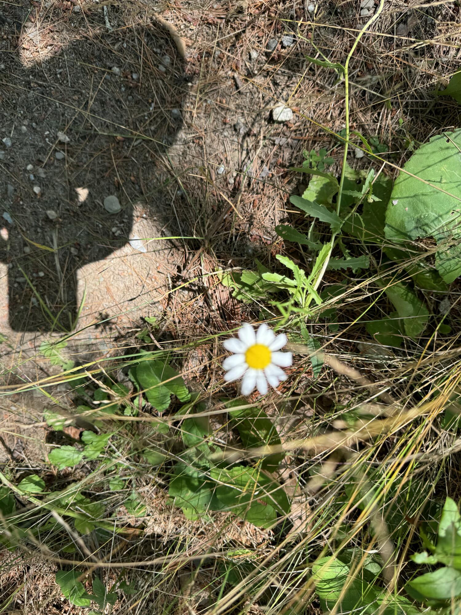 356 High Street Bath ME 04530