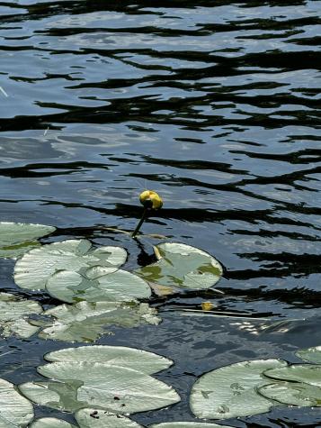 356 High Street Bath ME 04530