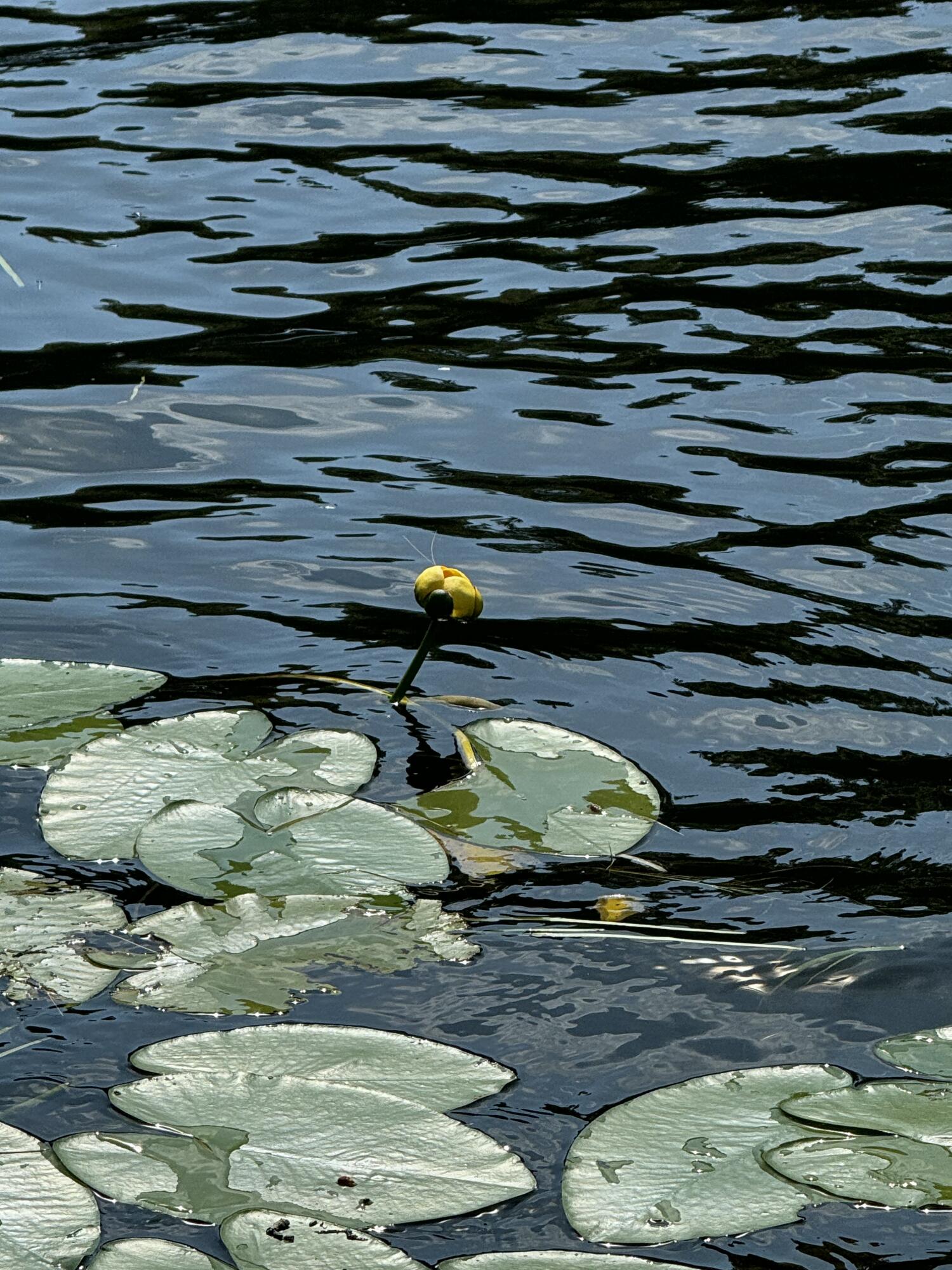 356 High Street Bath ME 04530