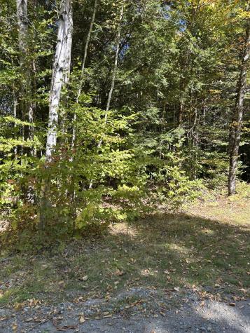 M6L16-12-3 Beaverbrook Road Bowerbank ME 04426