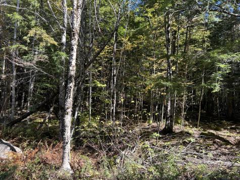 M6L16-12-3 Beaverbrook Road Bowerbank ME 04426