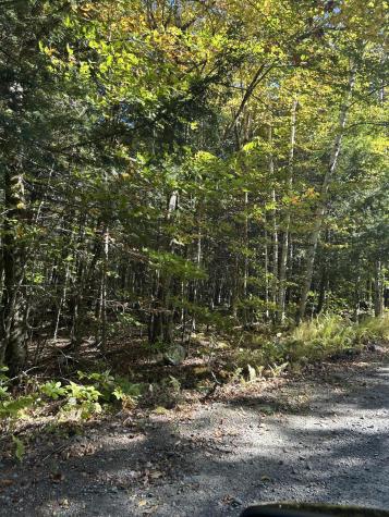 M6L16-12-3 Beaverbrook Road Bowerbank ME 04426