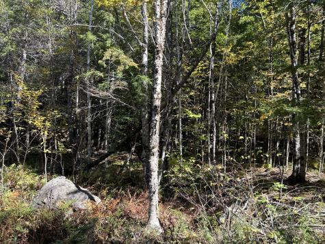 M6L16-12-3 Beaverbrook Road Bowerbank ME 04426