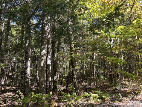 M6L16-12-3 Beaverbrook Road Bowerbank ME 04426