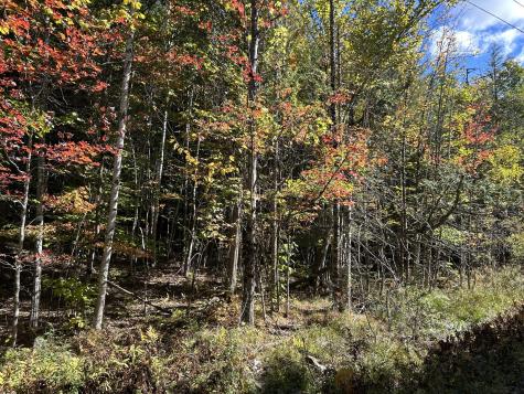 M6L16-12-3 Beaverbrook Road Bowerbank ME 04426