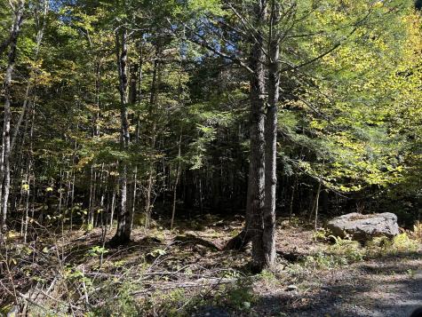 M6L16-12-3 Beaverbrook Road Bowerbank ME 04426