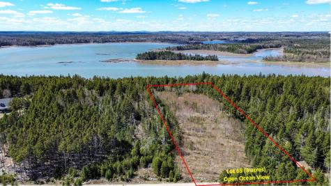 Lot 65 Sunrise Lane Roque Bluffs ME 04654