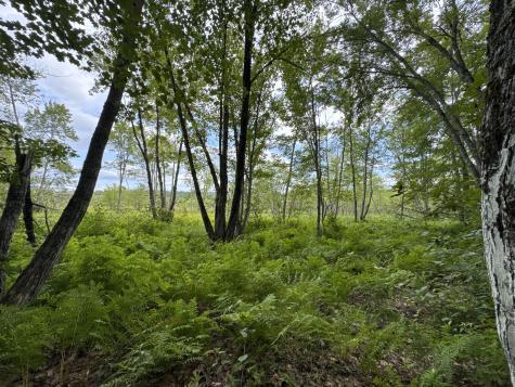 MAP20LOT19 Carter Hill Road Fryeburg ME 04037