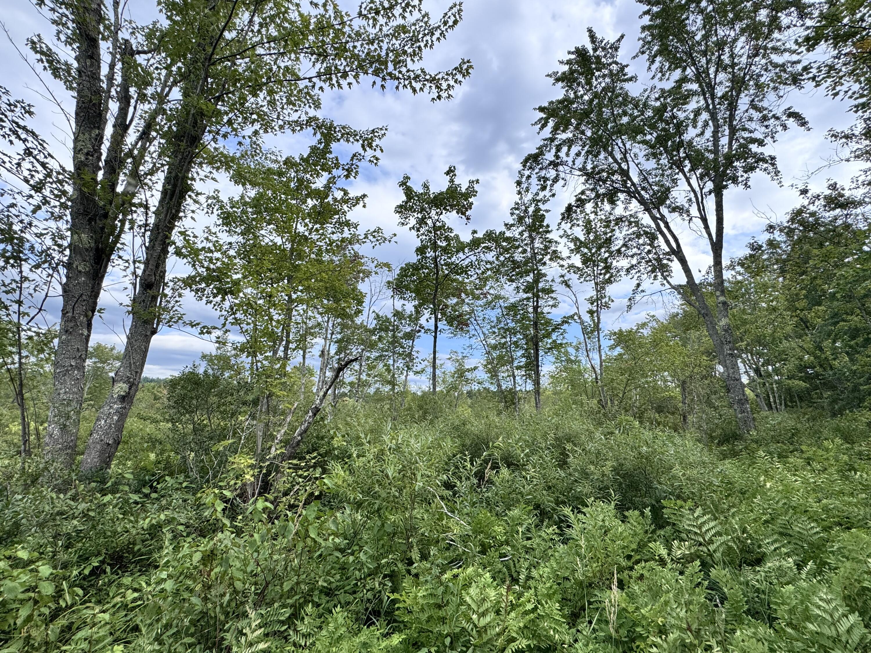 MAP20LOT19 Carter Hill Road Fryeburg ME 04037