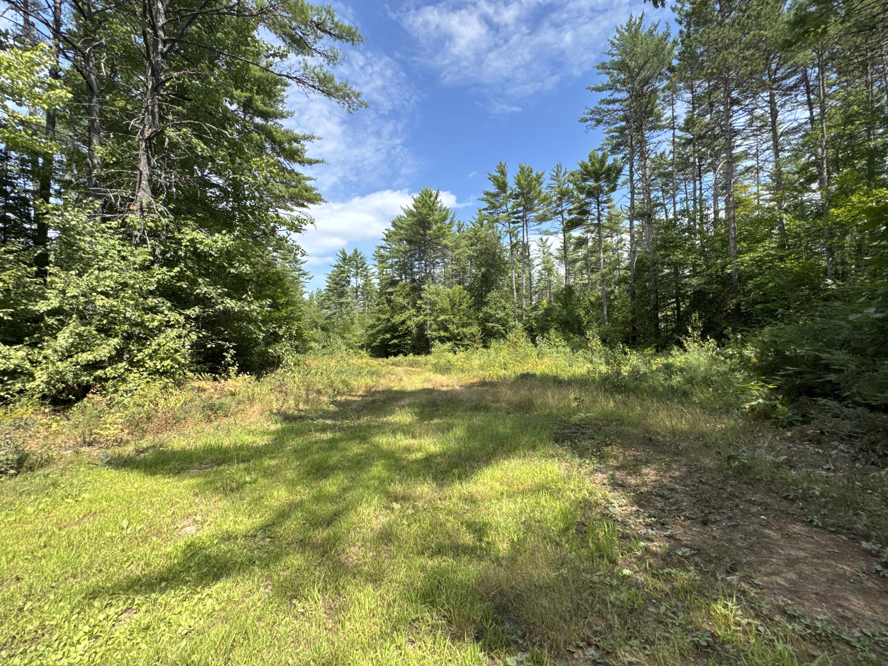 MAP20LOT19 Carter Hill Road Fryeburg ME 04037