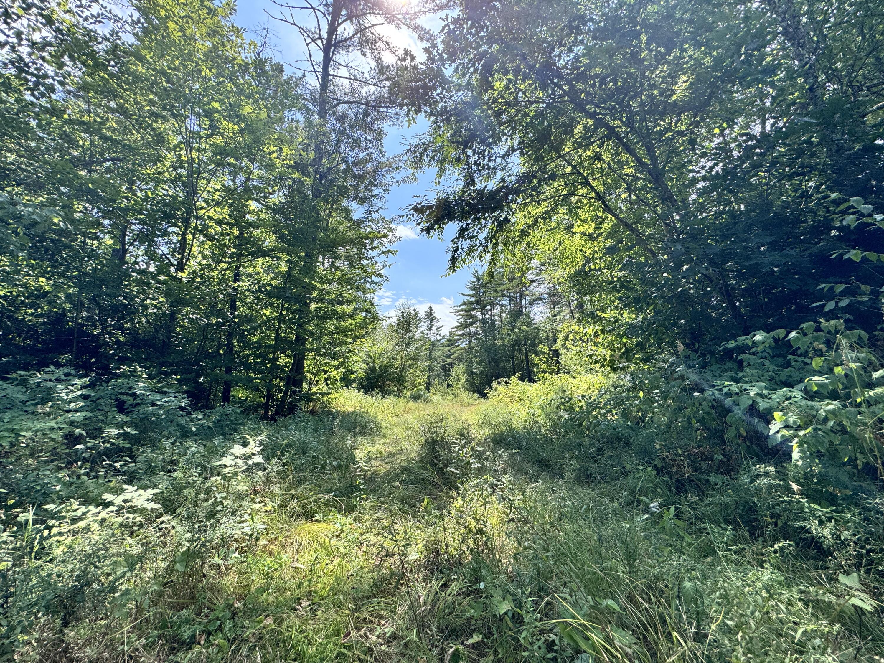 MAP20LOT19 Carter Hill Road Fryeburg ME 04037