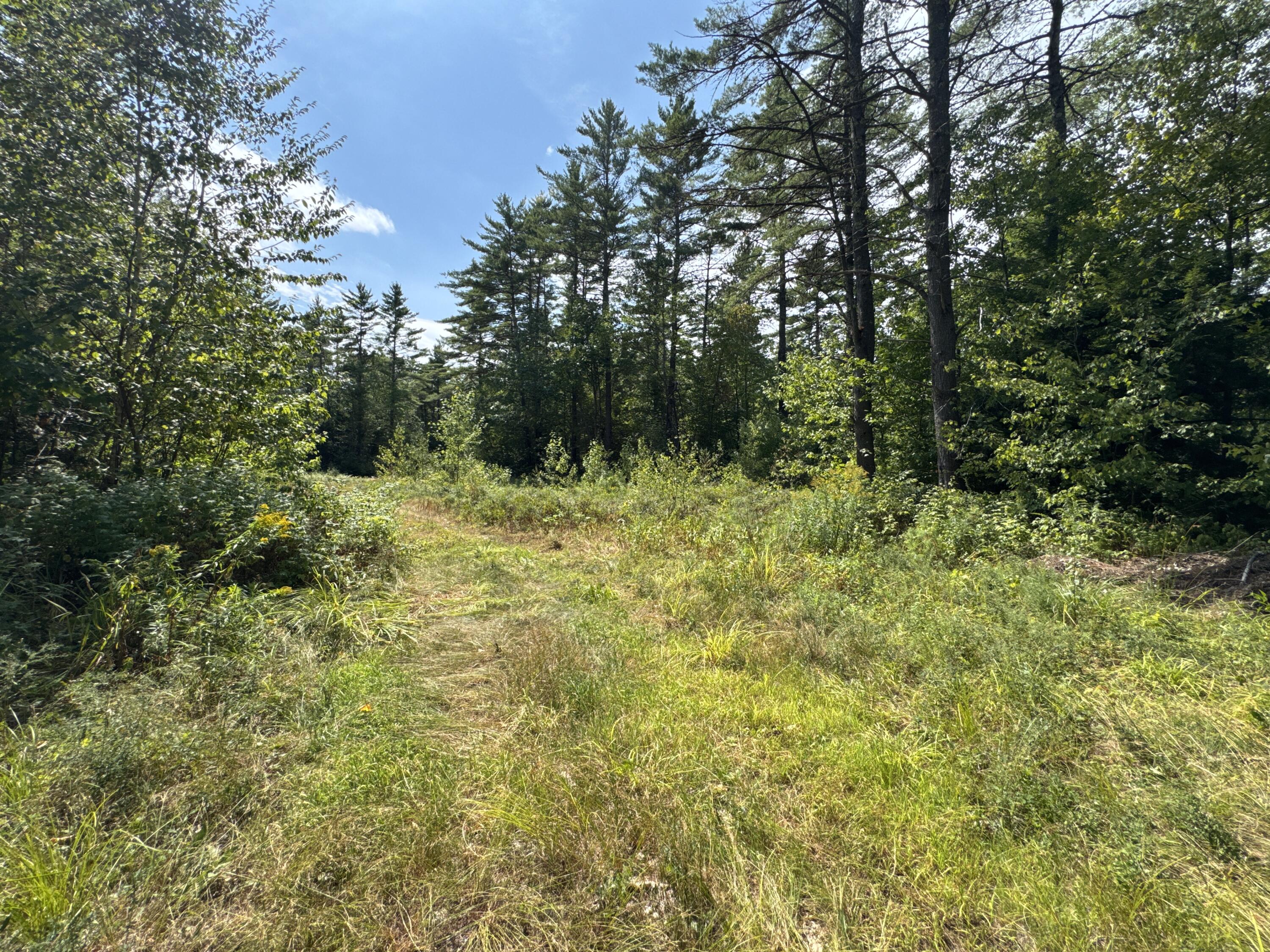 MAP20LOT19 Carter Hill Road Fryeburg ME 04037