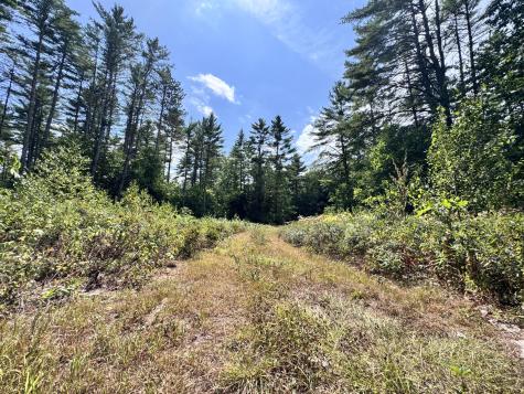 MAP20LOT19 Carter Hill Road Fryeburg ME 04037