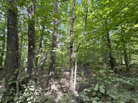 MAP20LOT19 Carter Hill Road Fryeburg ME 04037