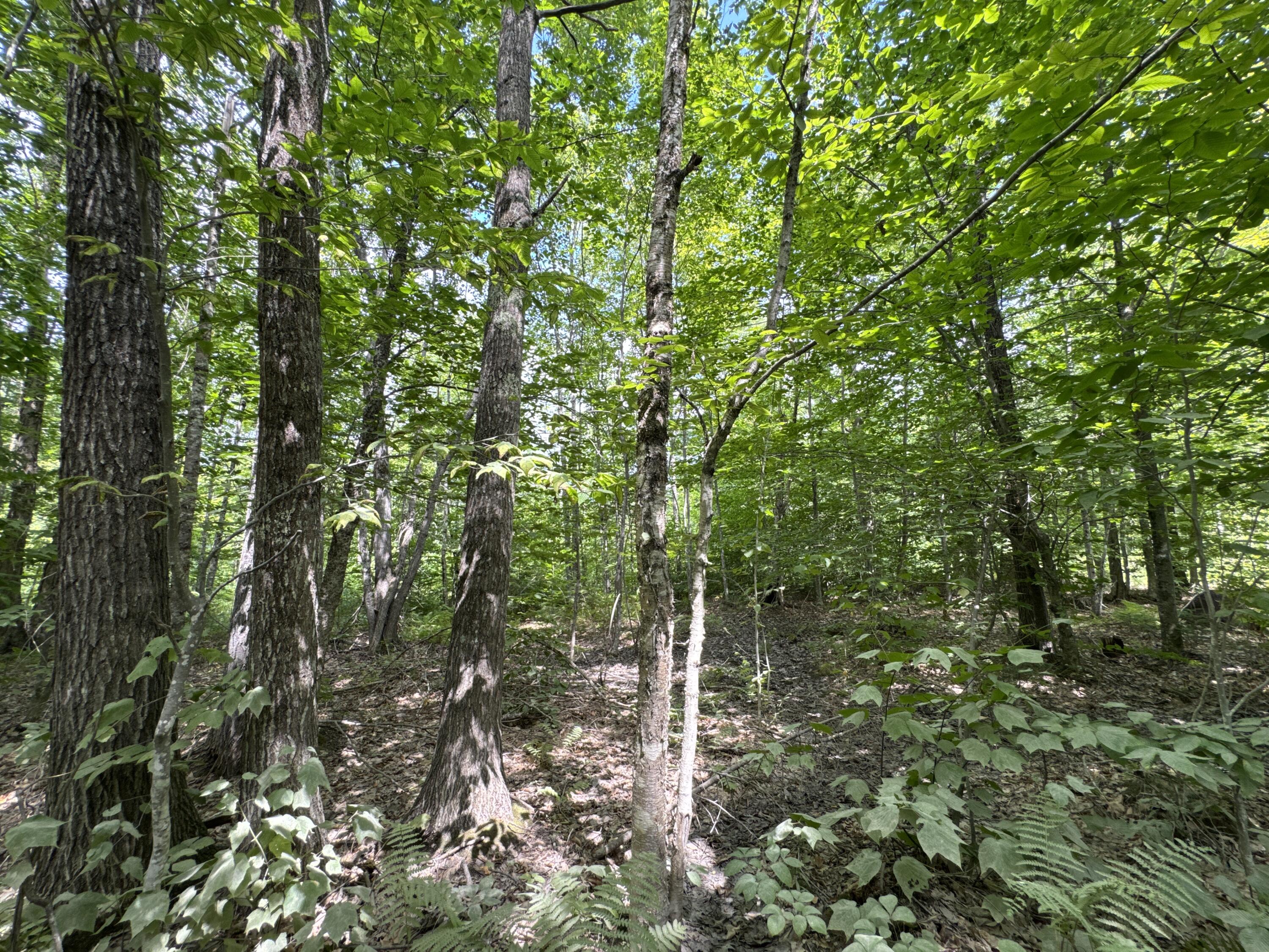 MAP20LOT19 Carter Hill Road Fryeburg ME 04037